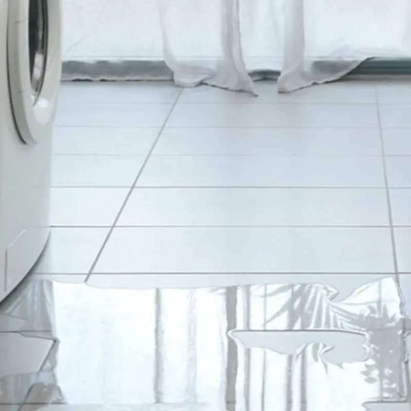 Appliance Leak Cleanup in Charlotte Park, FL