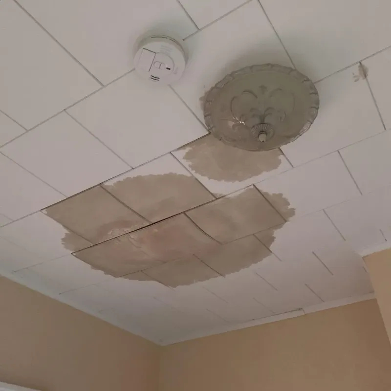 Ceiling Water Damage Repair in Charlotte Park, FL